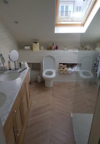 bathroom renovations dublin extensions